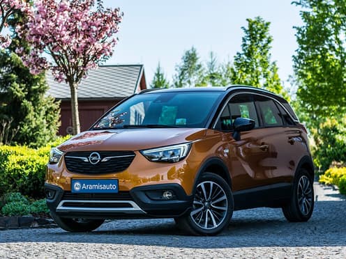 Une Opel de couleur orange foncé reprise par Aramisauto, garée dans l'allée d'une maison devant un arbre en fleur.