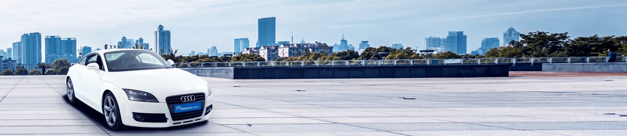 Guide d’achat Audi TT