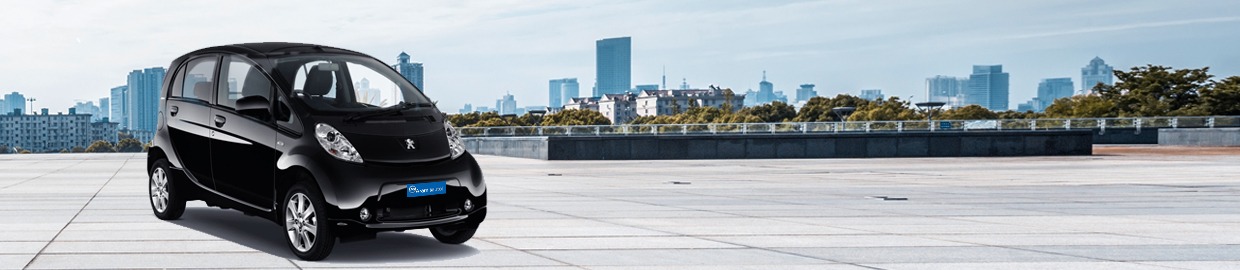 Guide d’achat Peugeot Ion